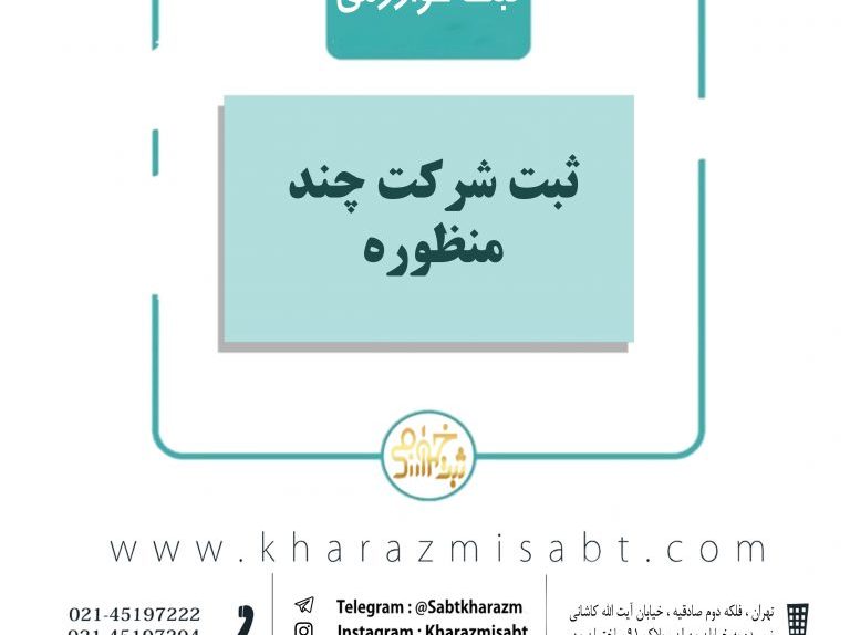 شرکت چندمنظوره