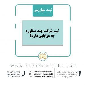 ثبت شرکت چند منظوره
